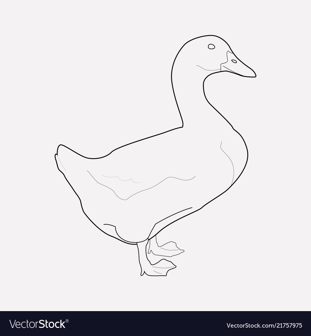 Duck icon line element