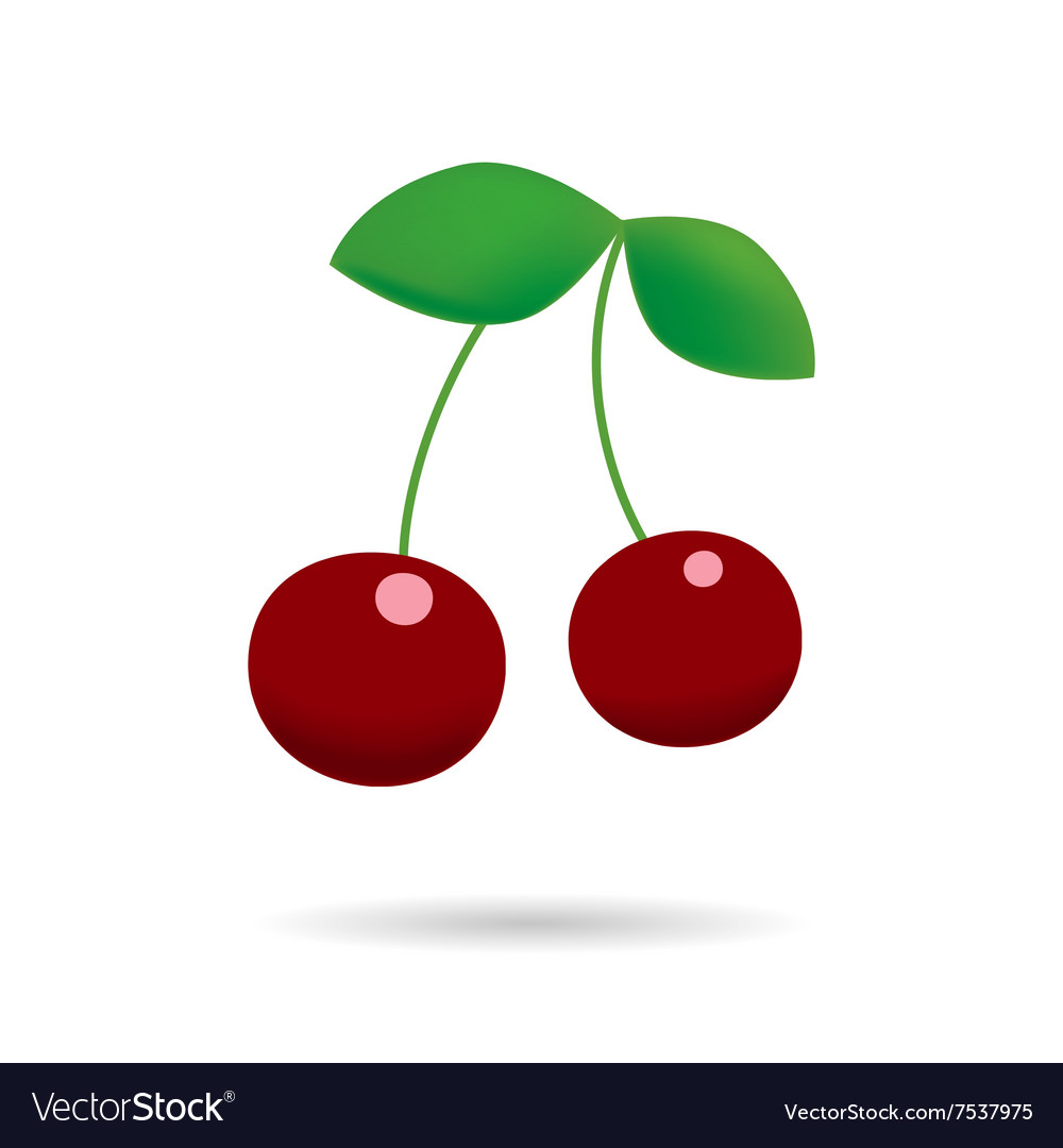 Ripe Red Cherry Berries With Leaves Royalty Free Vector