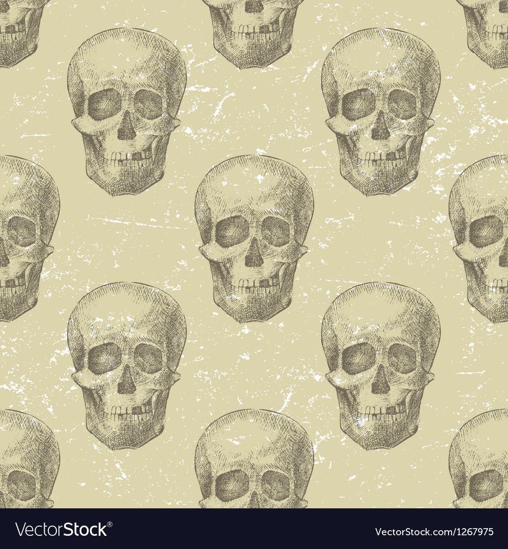 Skull seamless Royalty Free Vector Image - VectorStock