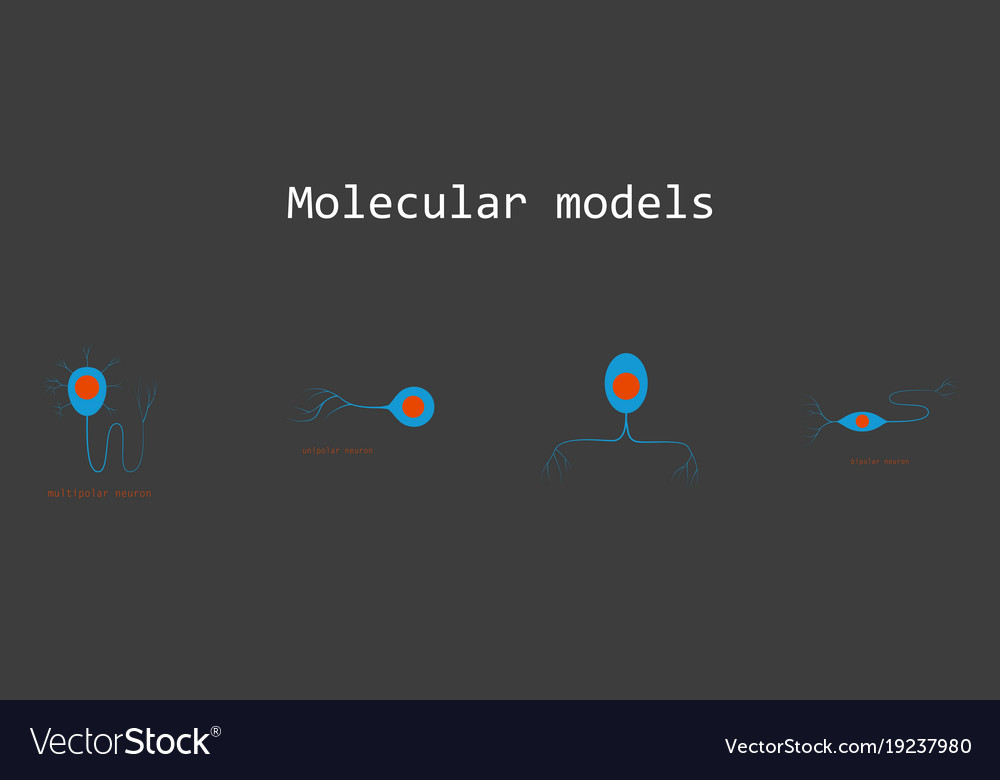 Set of structure a motor neuron