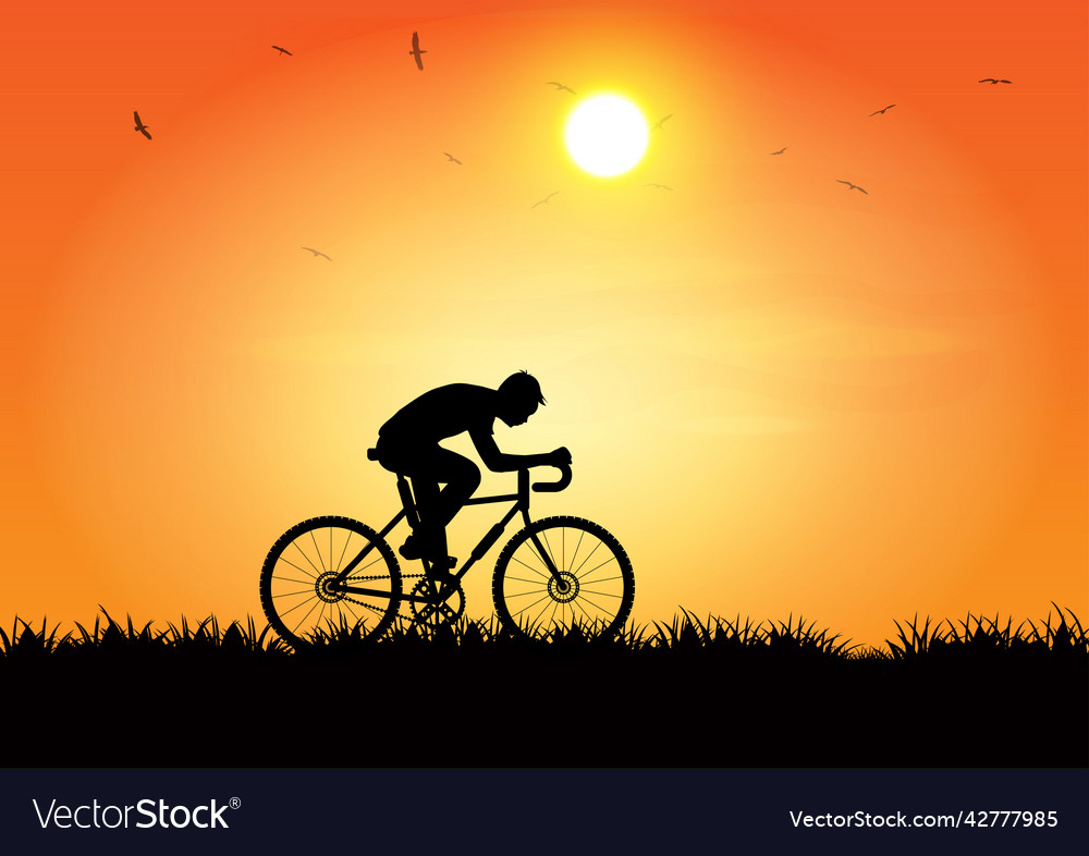 Graphics image man riding a bicycle at evening
