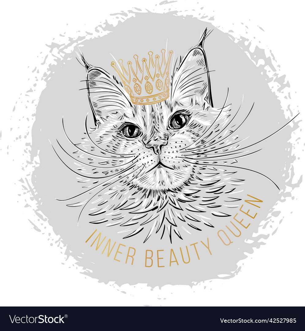 Line art maine coon cat sketch with gold crown