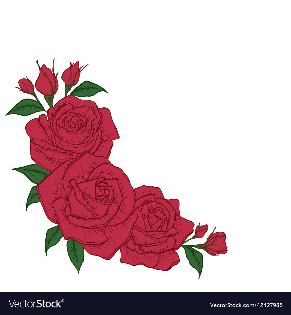 Red bouquet rose and leaves for wedding vector image Red bouquet rose and leaves for wedding