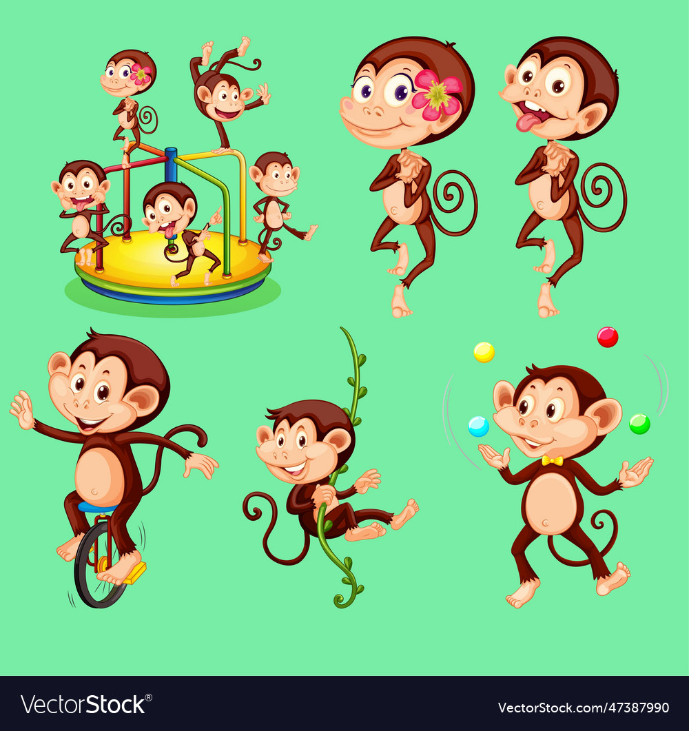 Set of monkey with difference pose character vector image Set of monkey with difference pose character