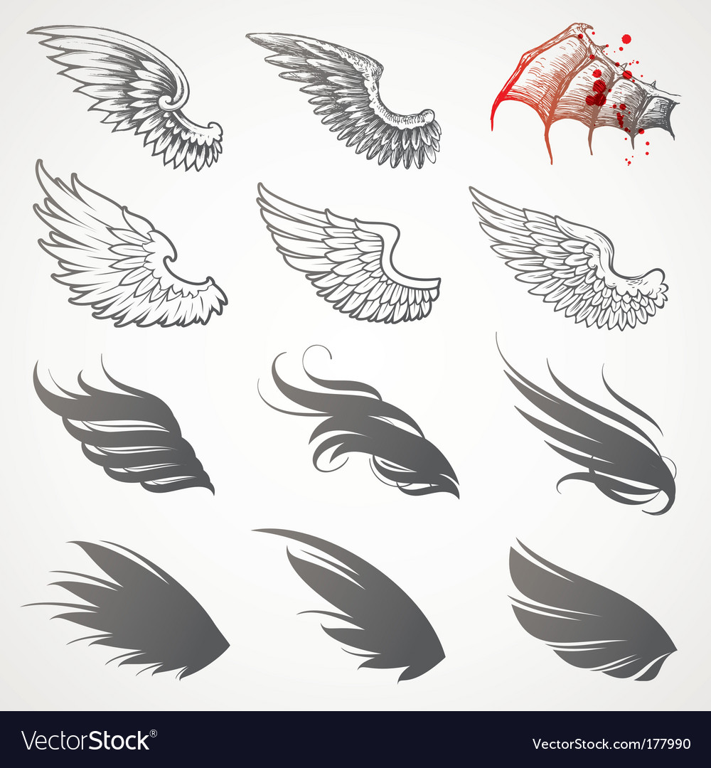 Set of wings