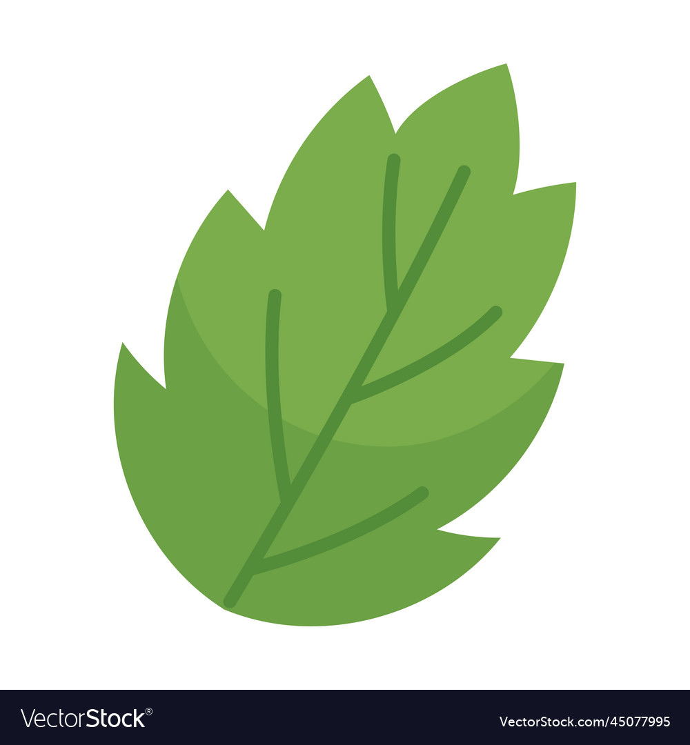 Leaf Nature Icon Royalty Free Vector Image - Vectorstock