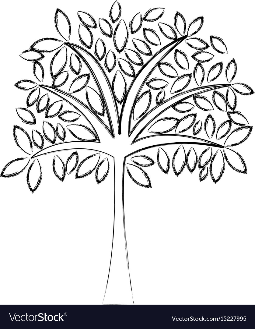 Simple Tree Sketch