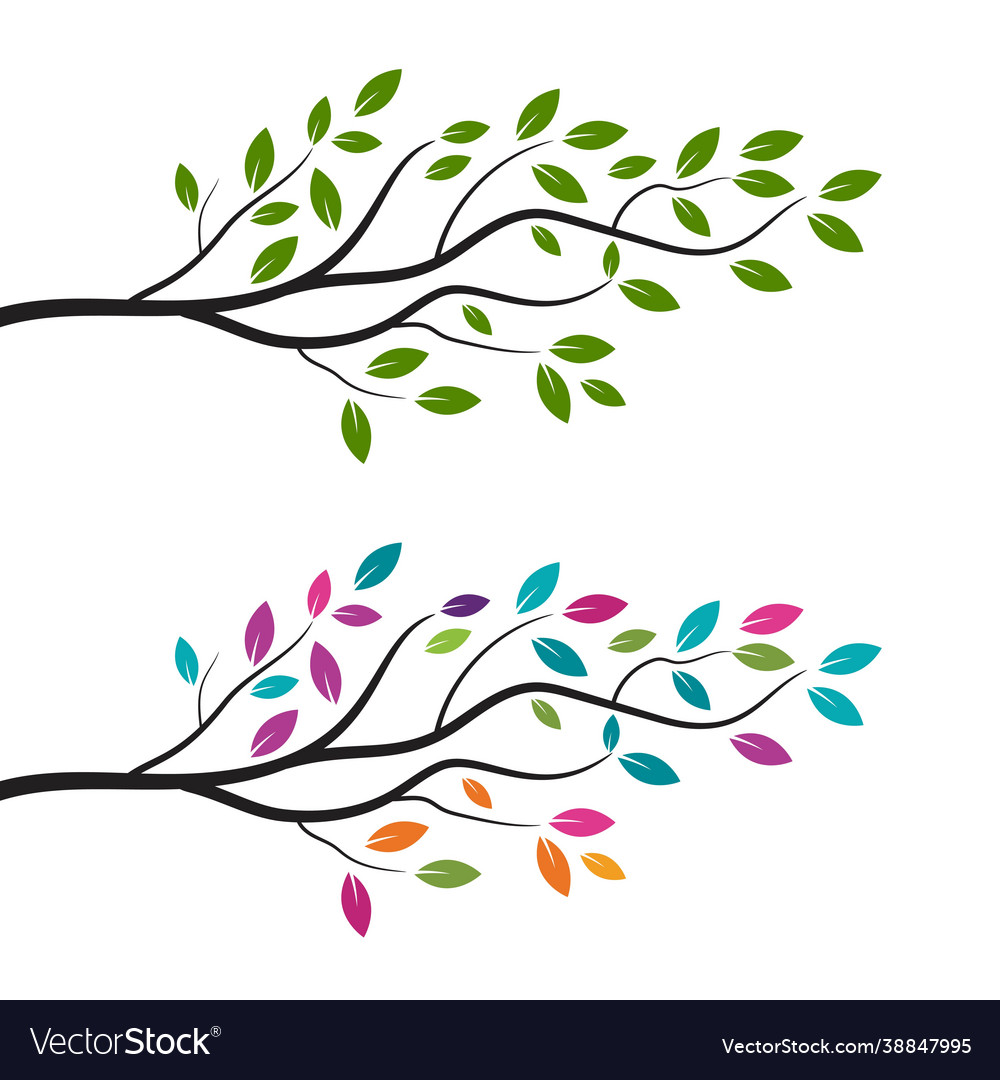 Tree branch design vector image Tree branch design