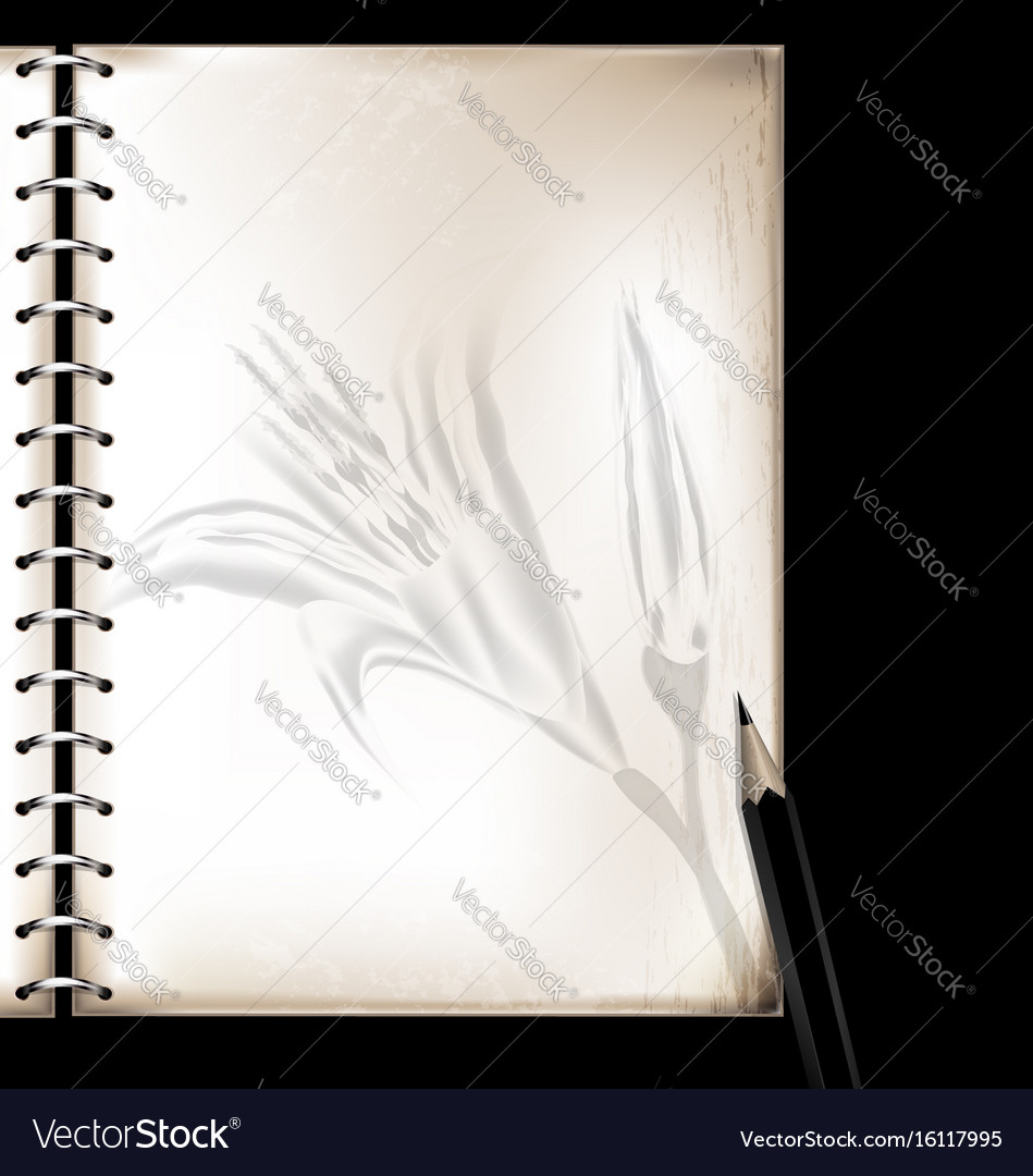 Vintage page of notepad and pencil