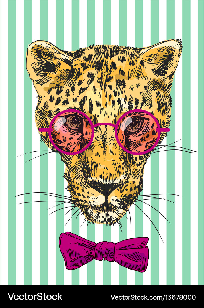 Hand-drawn leopard Royalty Free Vector Image - VectorStock