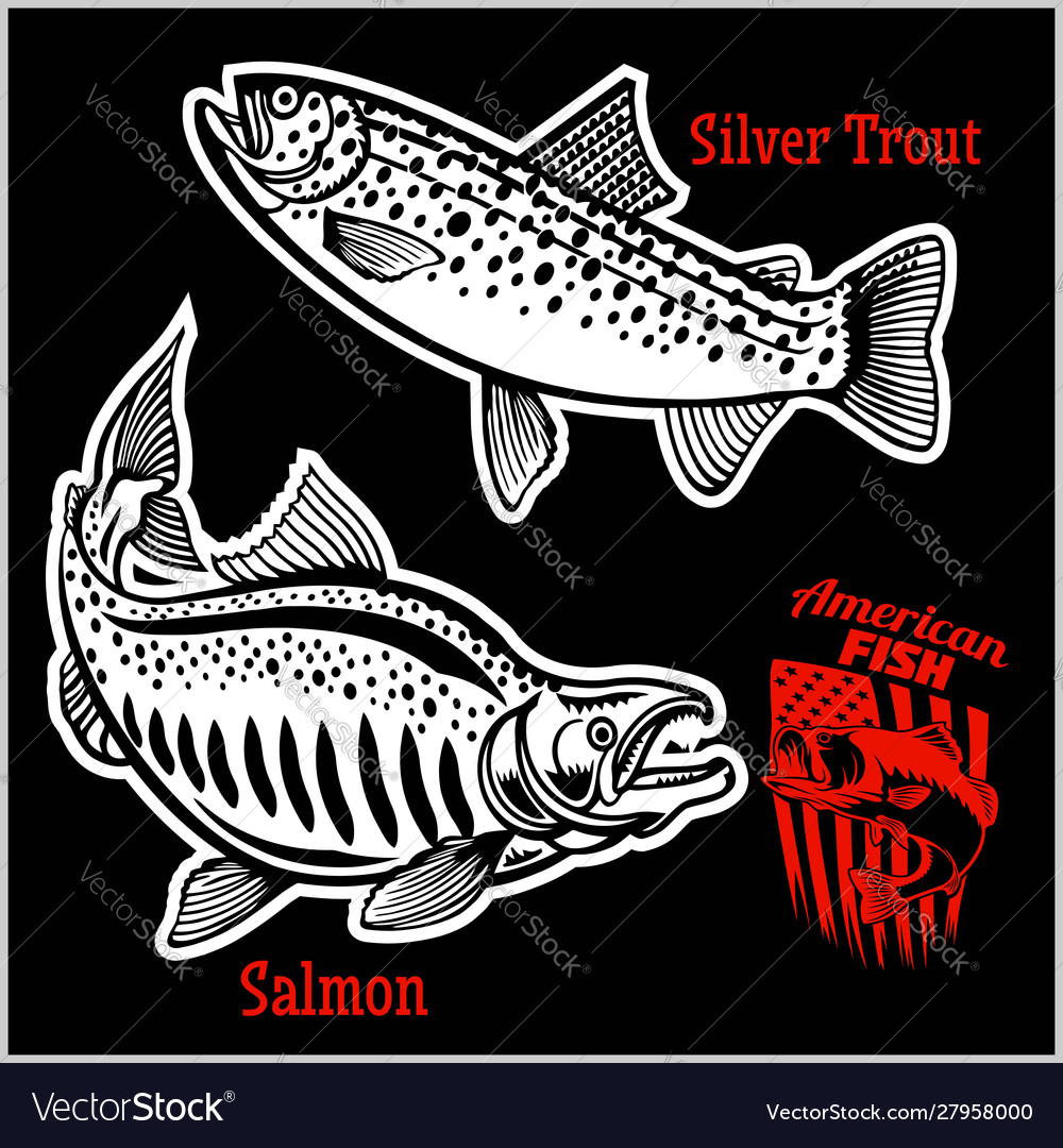 Silver trout and salmon fishing on usa