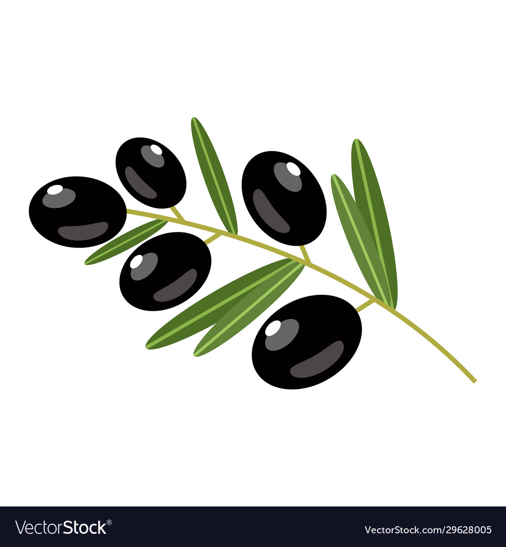 Black olives on a white background Royalty Free Vector Image