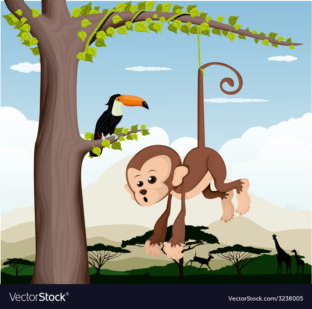 Monkey and a bird in tree