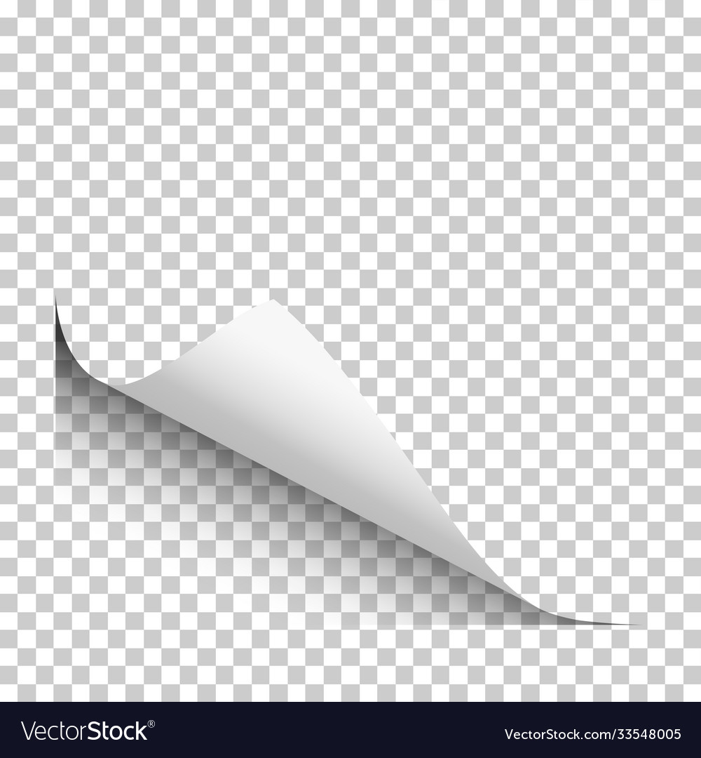 Page with lower left curl shadow on blank vector image Page with lower left curl shadow on blank
