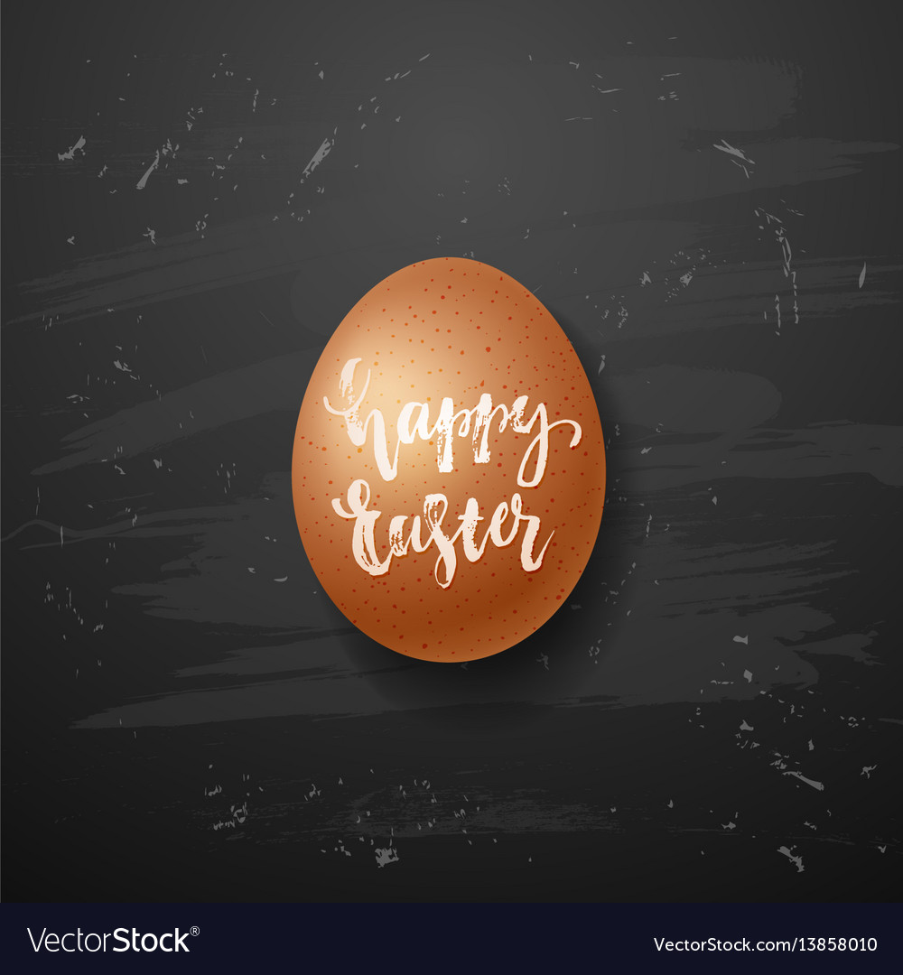 Brown chicken eggs on blackboard background vector image Brown chicken eggs on blackboard background