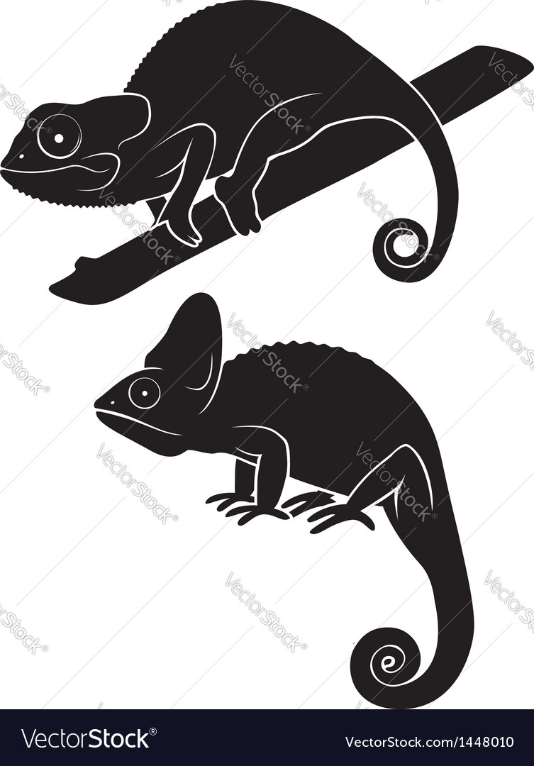 Chameleon Royalty Free Vector Image - VectorStock