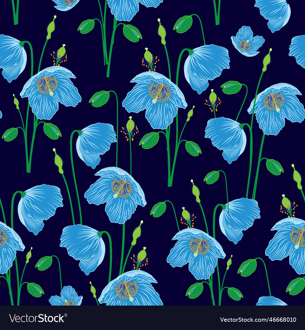 Himalayan blue poppy pattern Royalty Free Vector Image