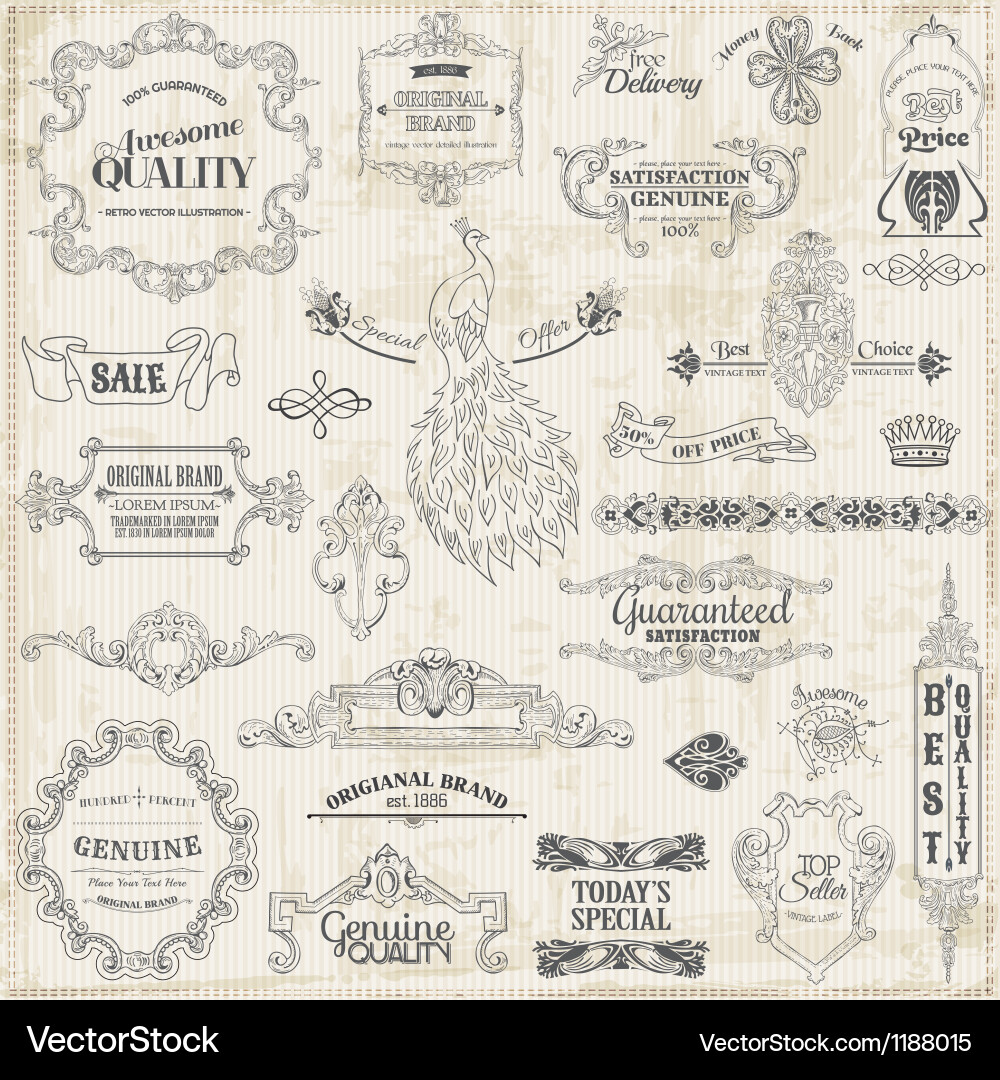 Set calligraphic design elements Royalty Free Vector Image