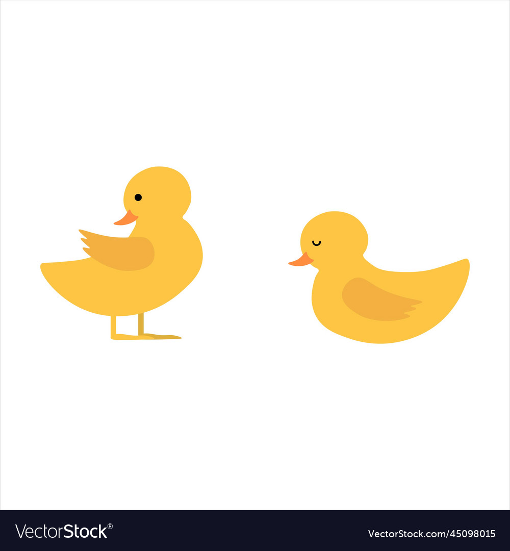 Two cute ducklings Royalty Free Vector Image - VectorStock