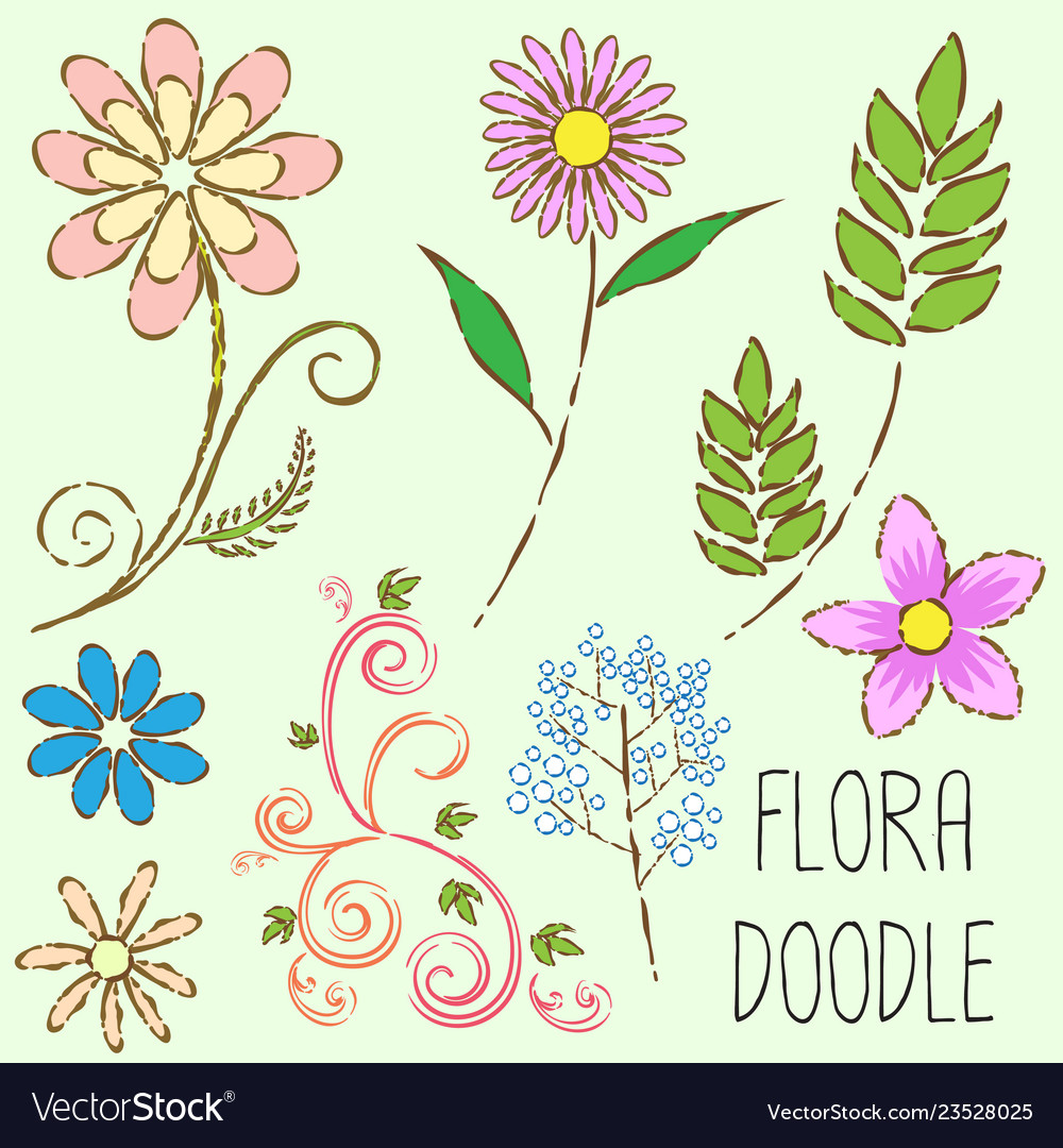 Flora doodle line pattern vector image Flora doodle line pattern