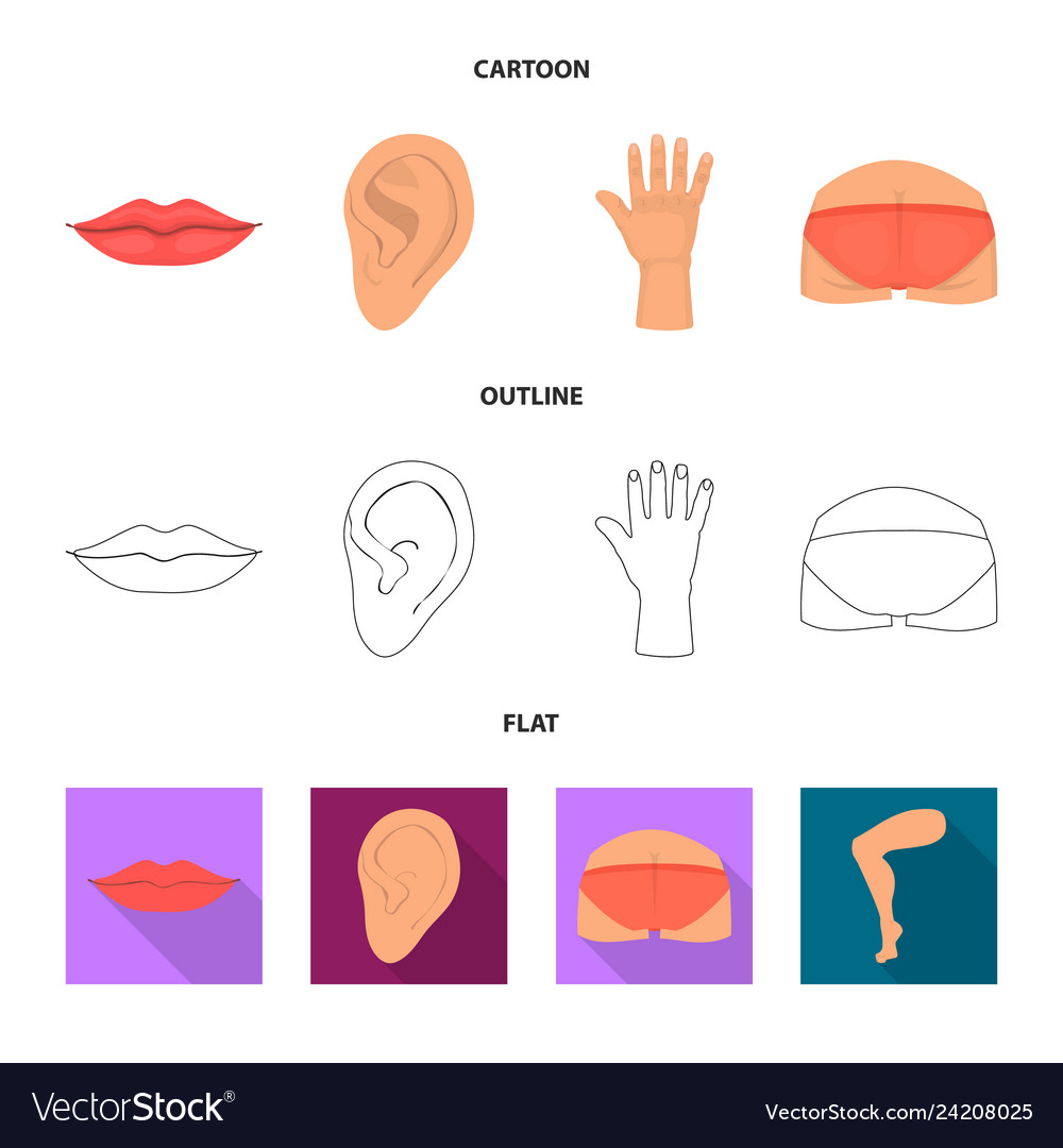 Isolated object of body and part logo collection vector image Isolated object of body and part logo collection