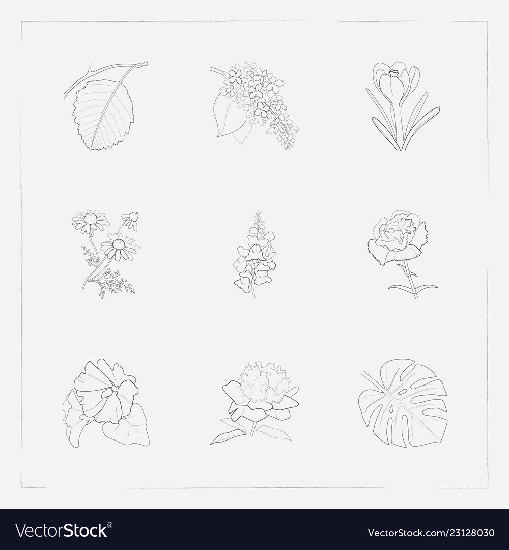Set of botany icons line style symbols with mallow vector image Set of botany icons line style symbols with mallow