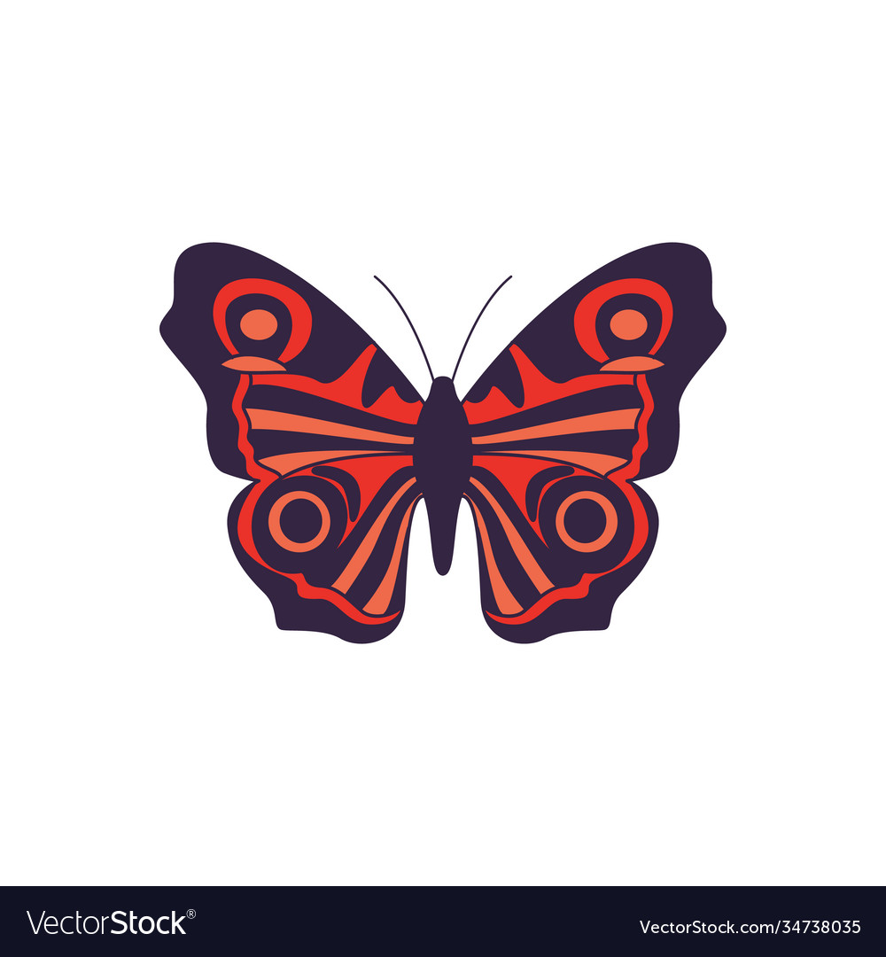 Beautiful butterfly with orange wings flat cartoon Beautiful butterfly with orange wings flat cartoon