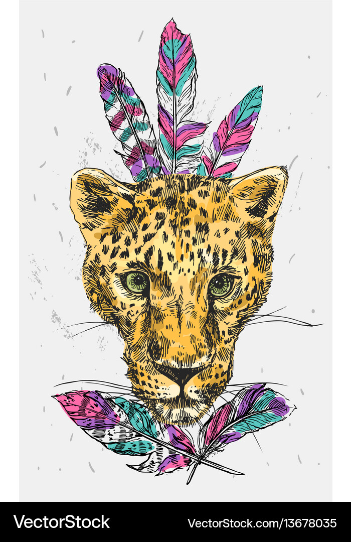 Hand-drawn leopard Royalty Free Vector Image - VectorStock