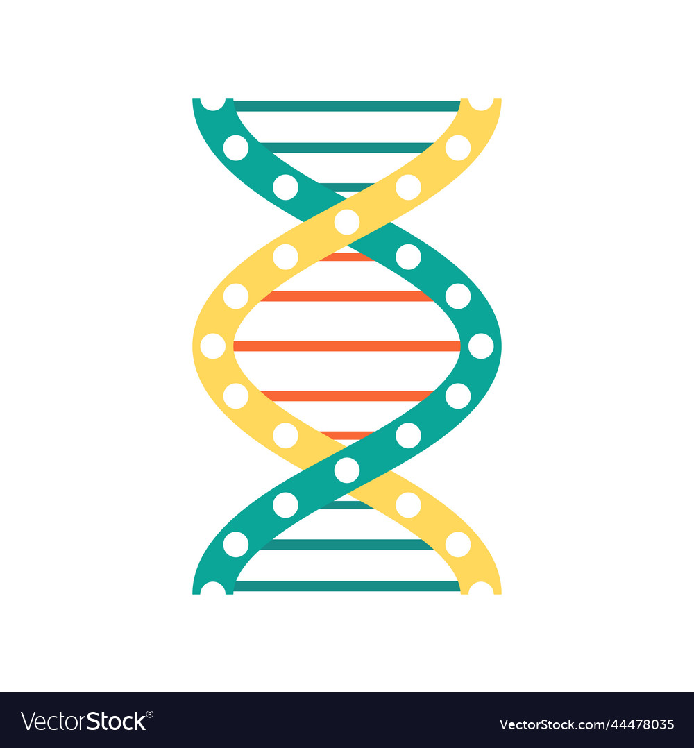 Helix structure genetic code twisted dna molecule vector image Helix structure genetic code twisted dna molecule