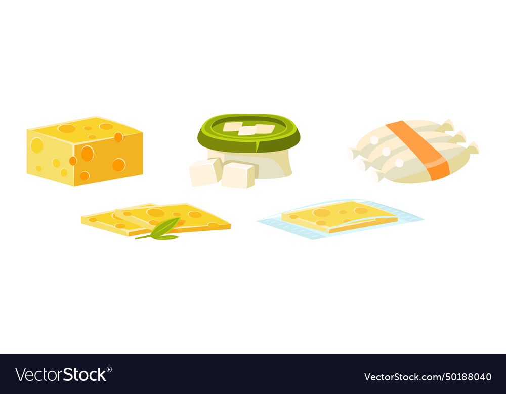 Cheese different type flat icon and object