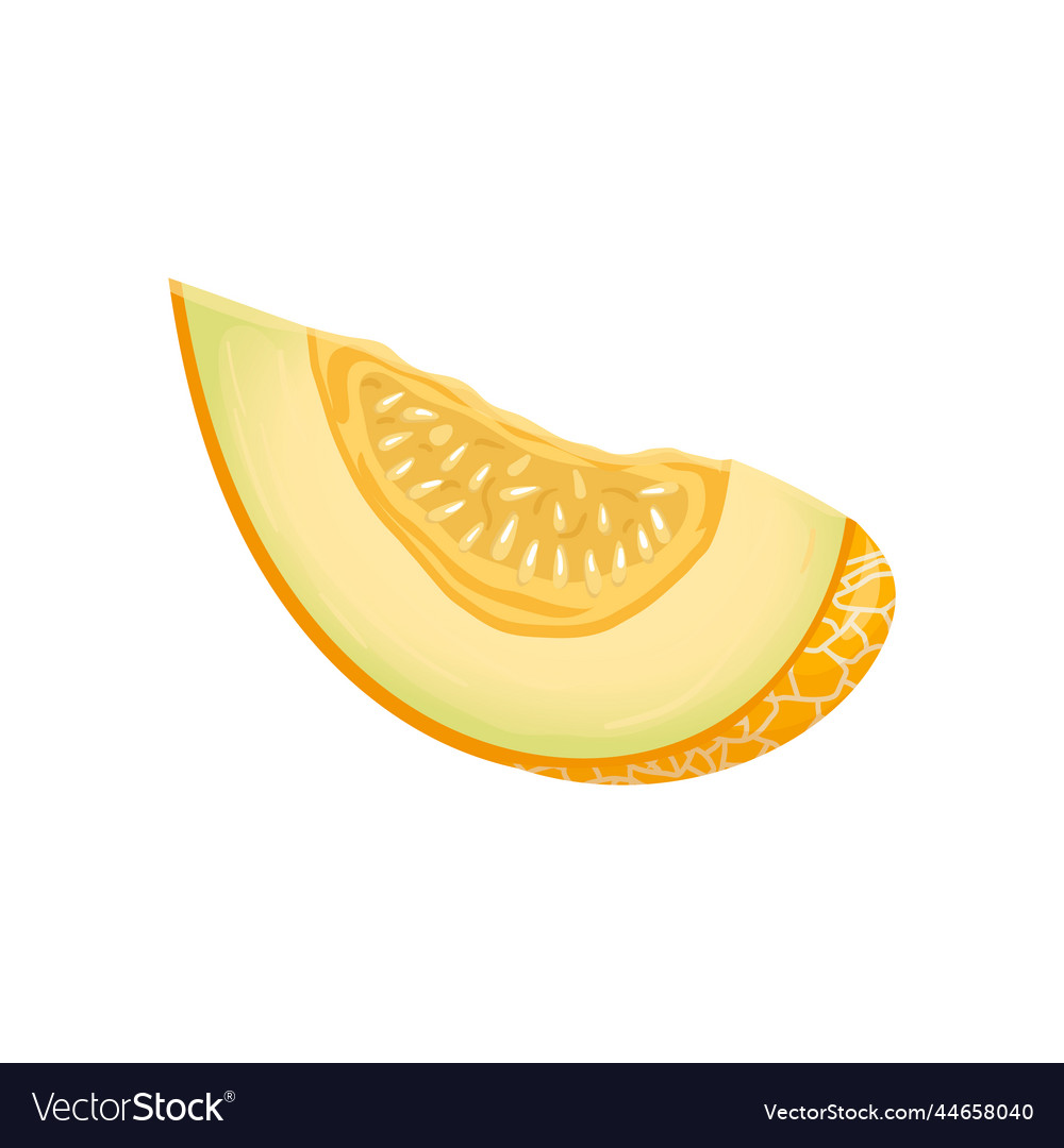 Melon yellow slice cartoon