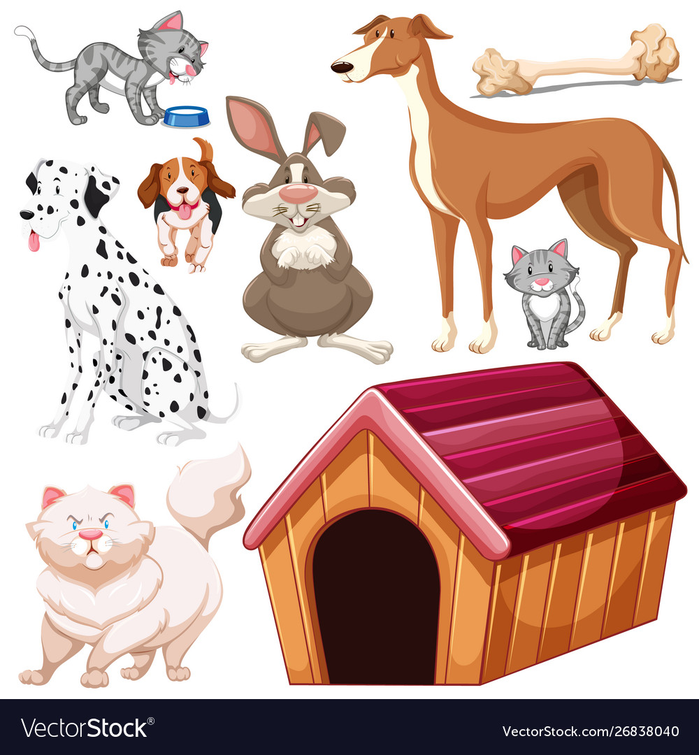 Set isolated different pets