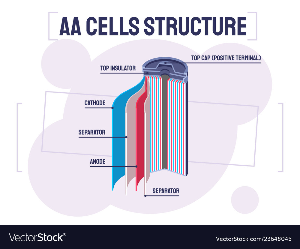 AA Battery Internal Structure