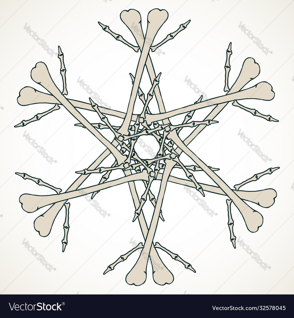 Bones jolly snowflake Vector Image Bones jolly snowflake