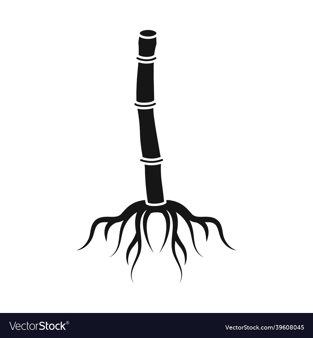 Design of root and sugar symbol graphic