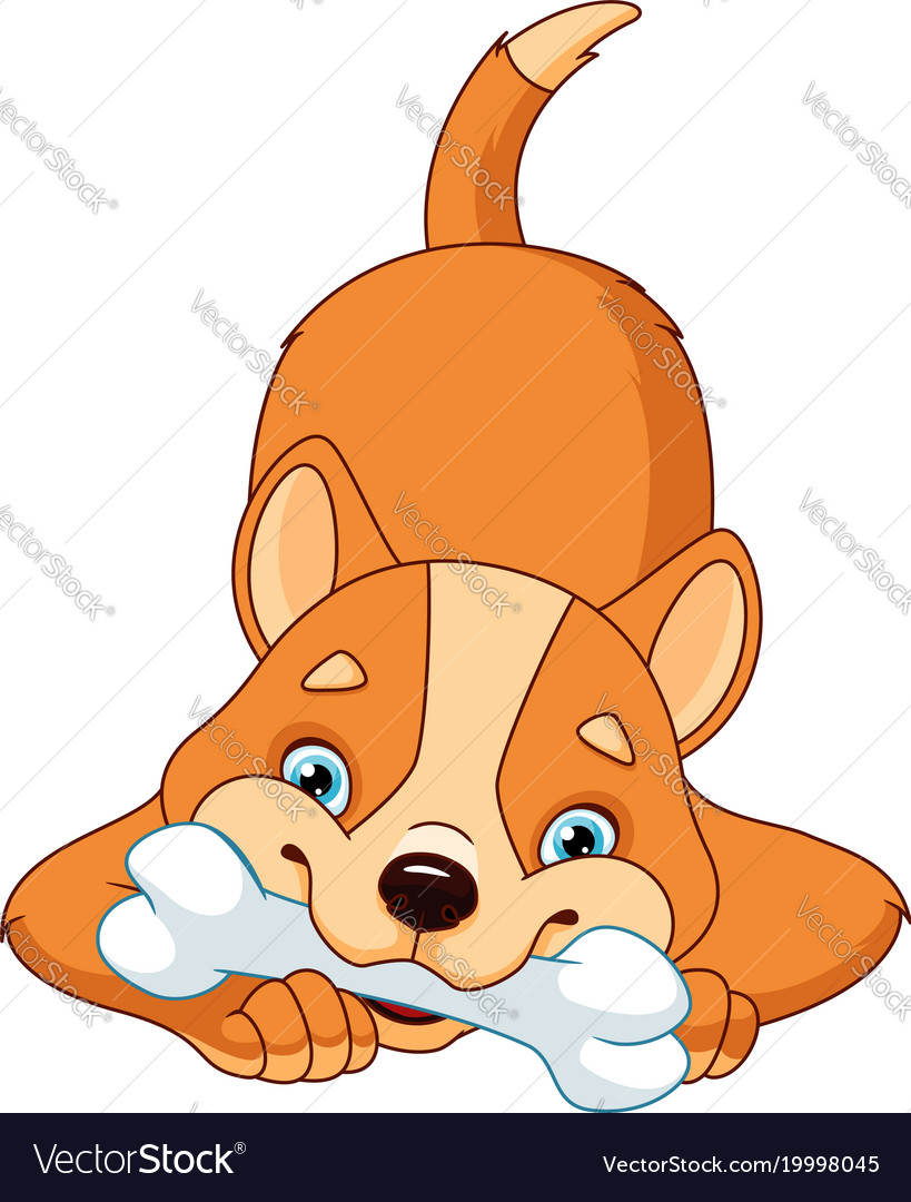 Dog with bone