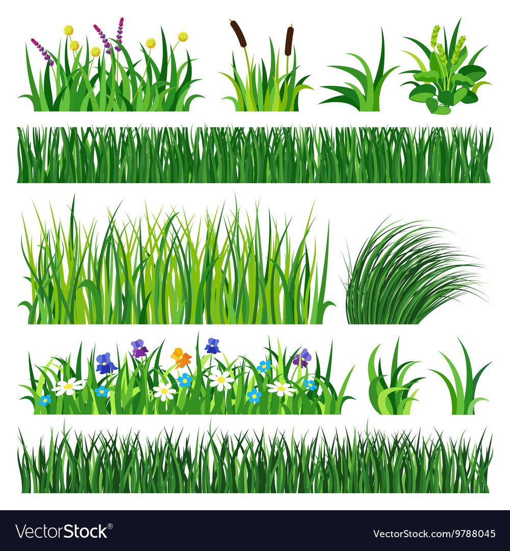 Green Grass Roots and Soil