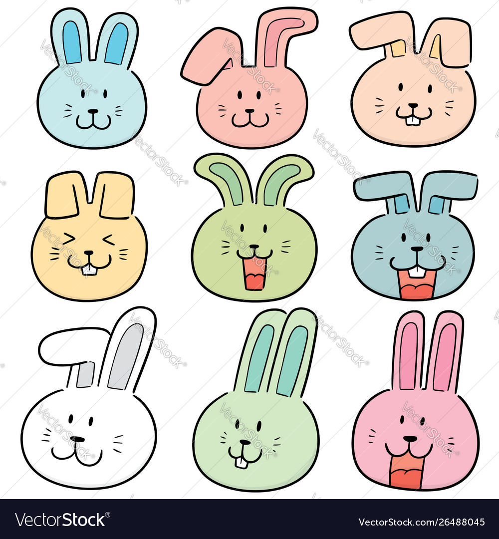 Set rabbit face