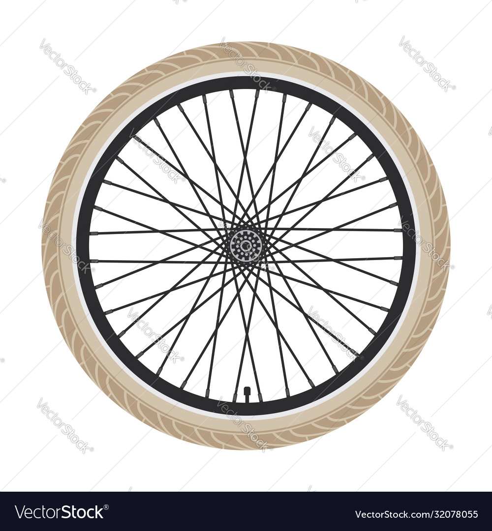 Bicycle wheel Royalty Free Vector Image VectorStock