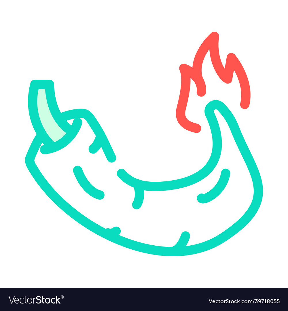 Hot spice pepper vegetable color icon