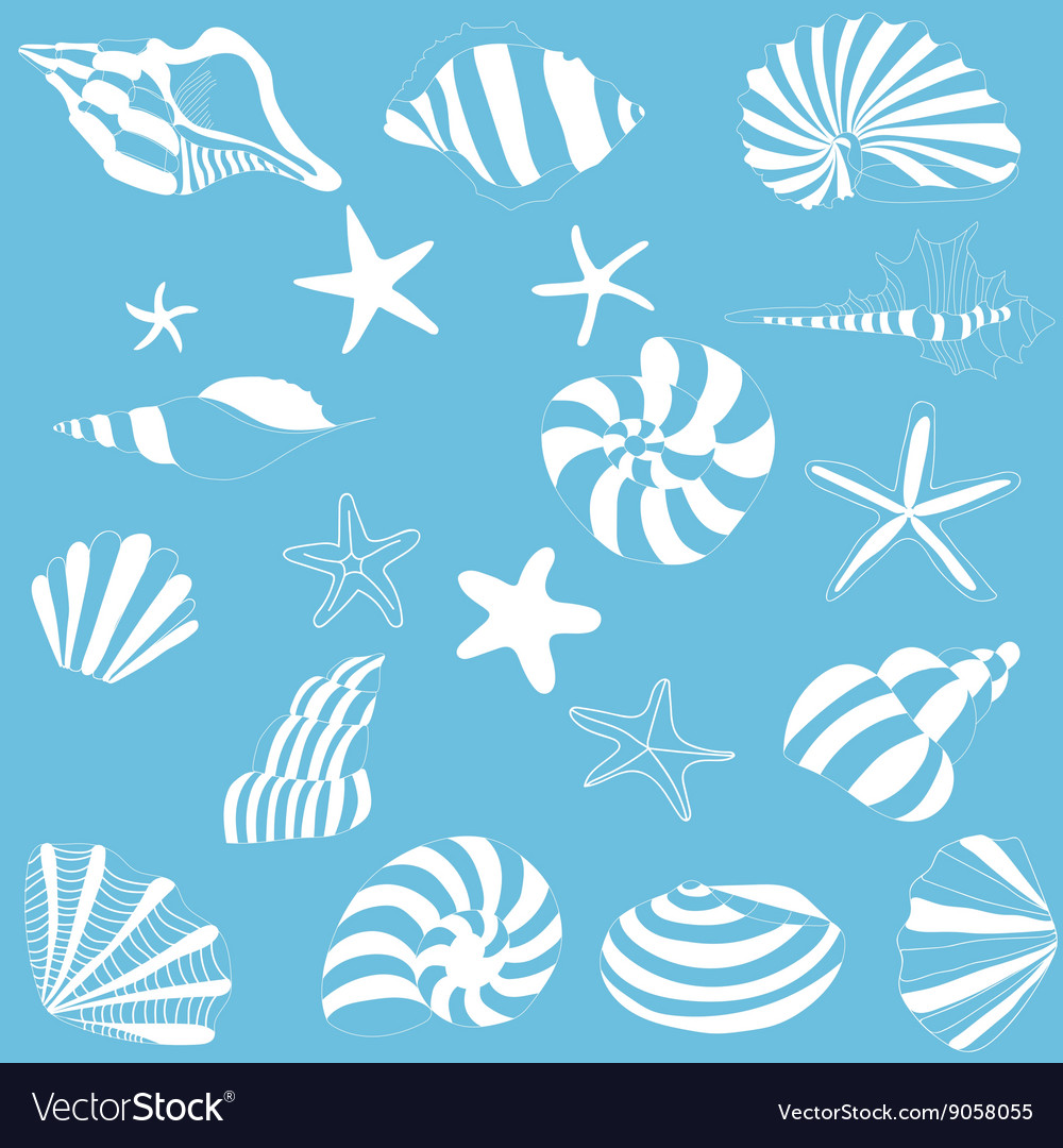 Seashells and starfish pattern