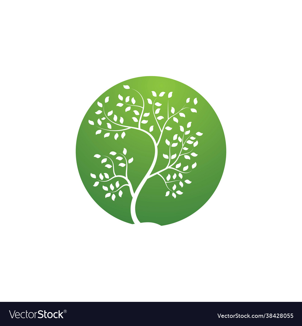 Tree branch design Royalty Free Vector Image - VectorStock