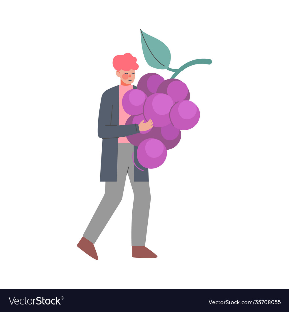 Young man carrying huge bunch grapes cartoon vector image Young man carrying huge bunch grapes cartoon