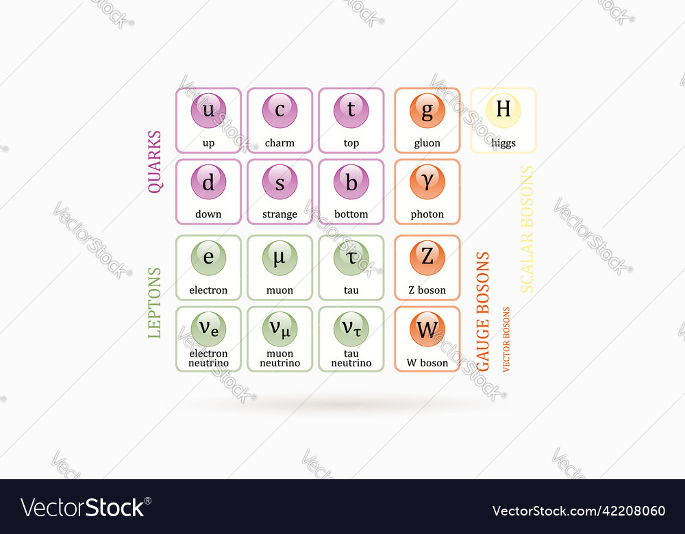 Elementary particle