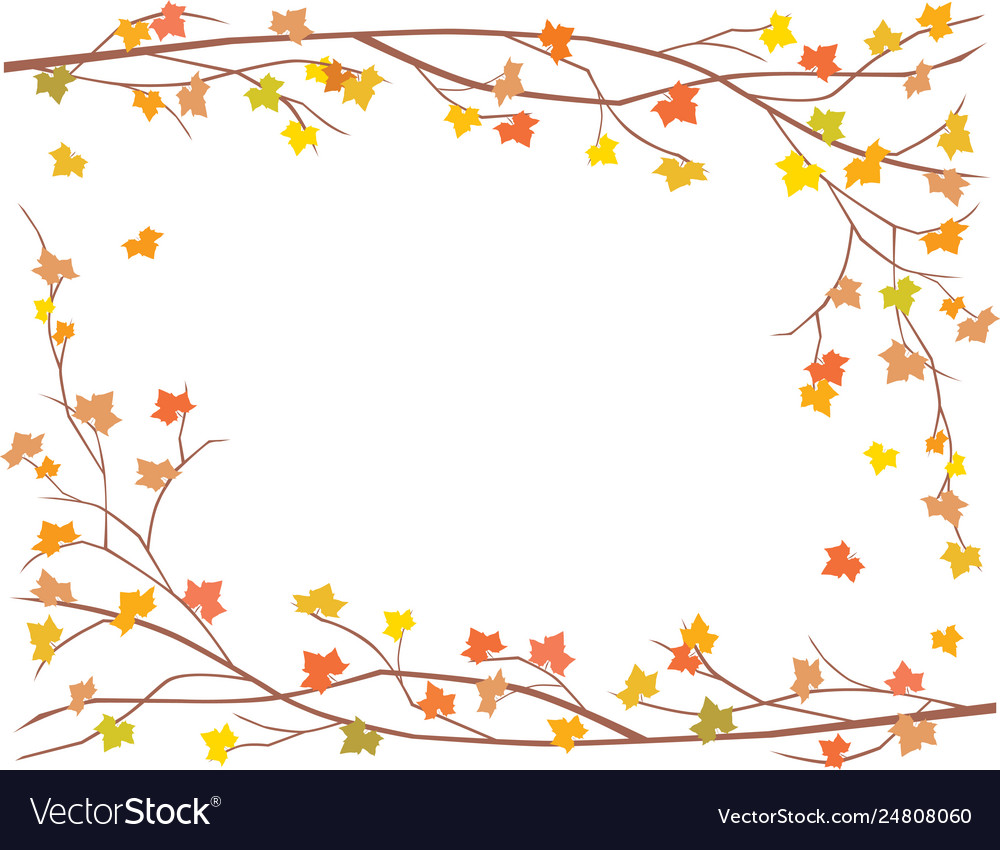 Frame branches maple tree