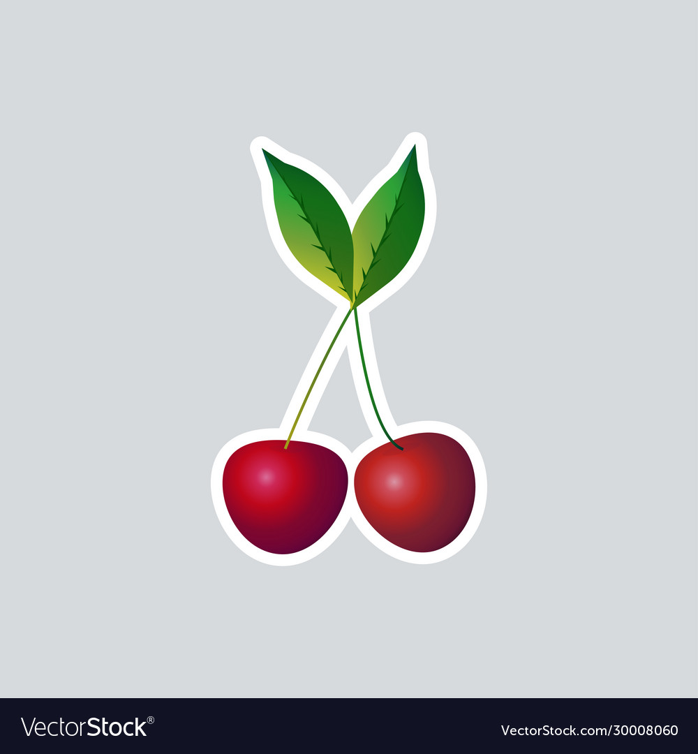 Fresh juicy red cherry icon tasty ripe fruit