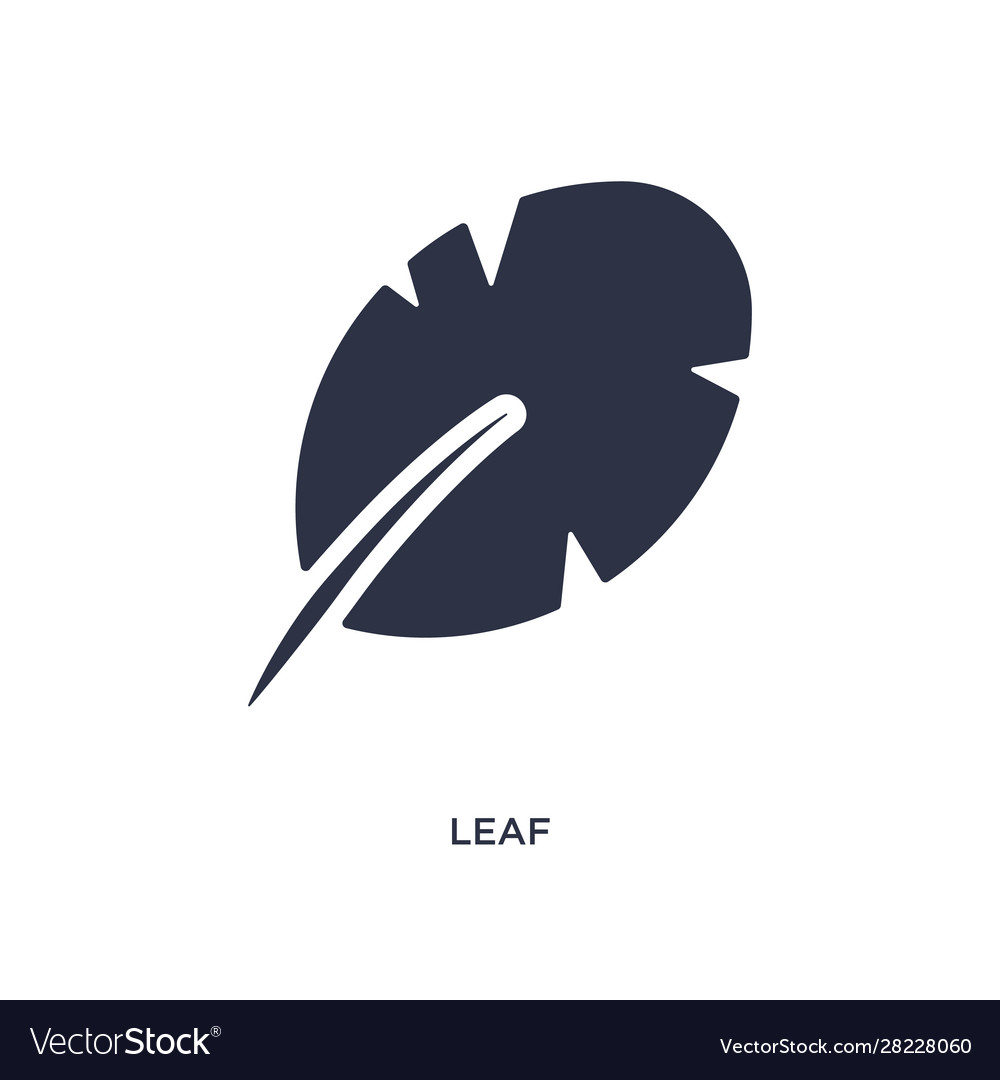 Leaf icon on white background simple element from