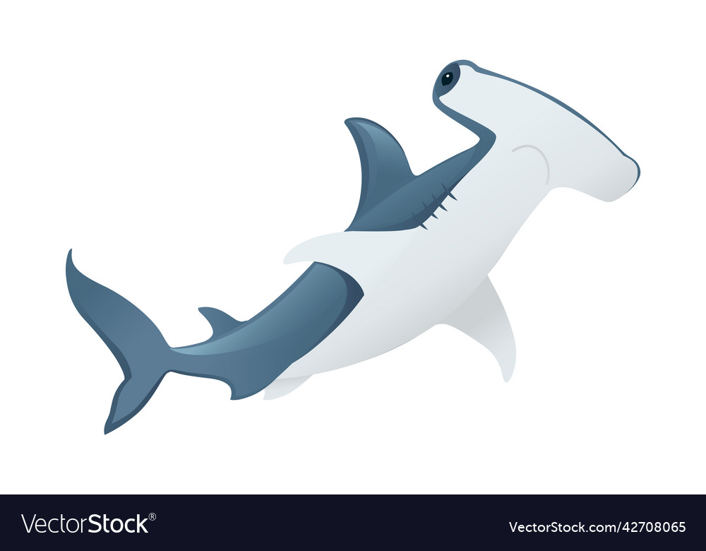 Hammerhead shark underwater giant animal simple