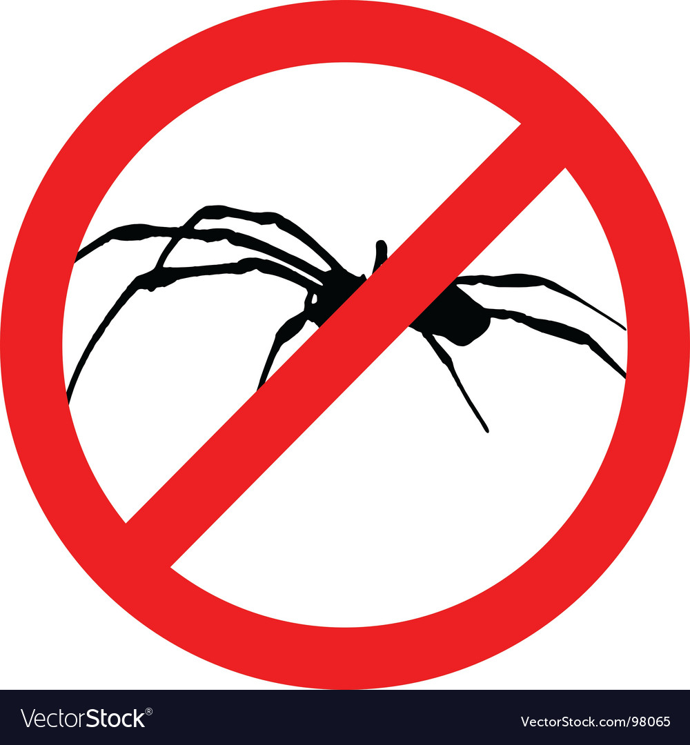 No spiders Royalty Free Vector Image - VectorStock