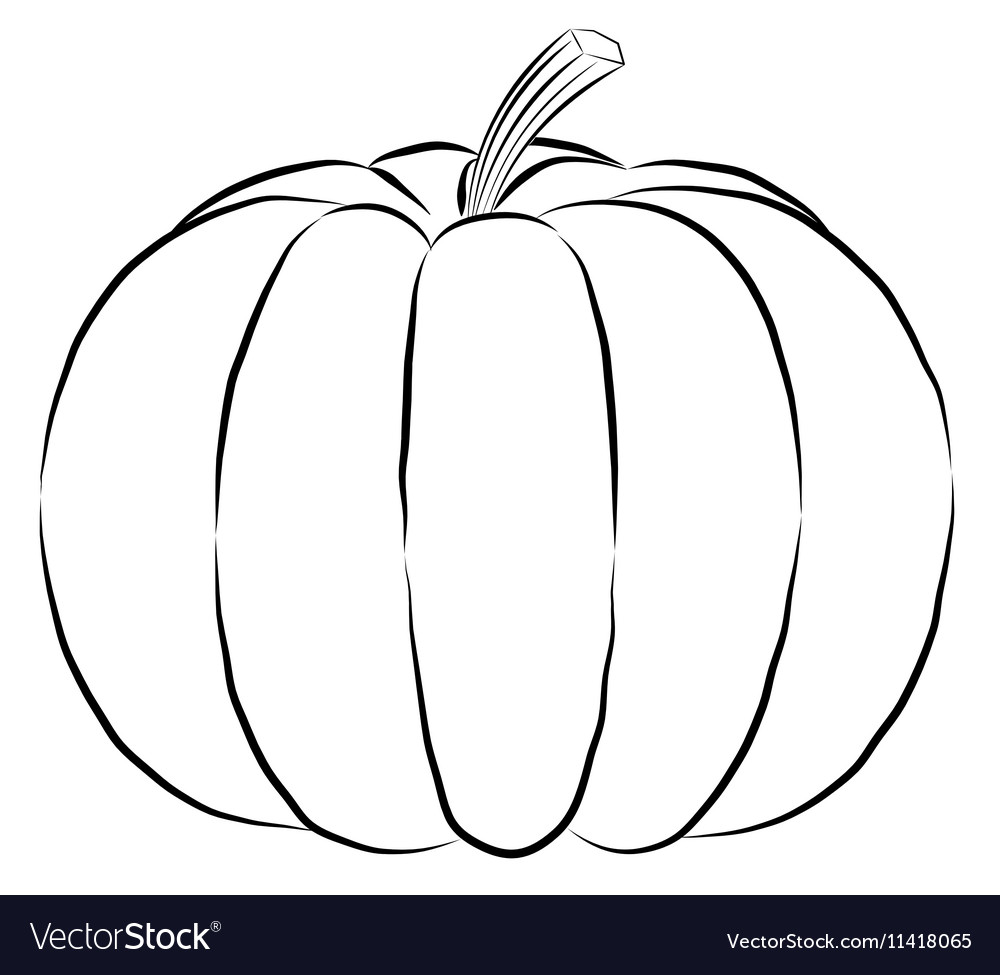 Outline pumpkin black fine lines and spine Vector Image